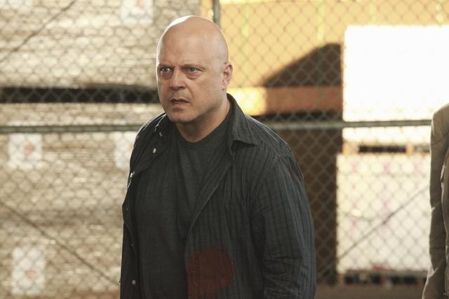 Interview: NO ORDINARY FAMILY star Michael Chiklis becomes Super-Dad ...