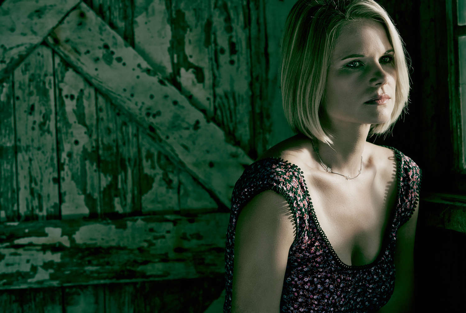 Joelle Carter Justified Hot