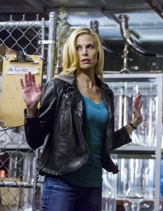 Brooke Burns on THE GOURMET DETECTIVE: A HEALTHY PLACE TO DIE ...