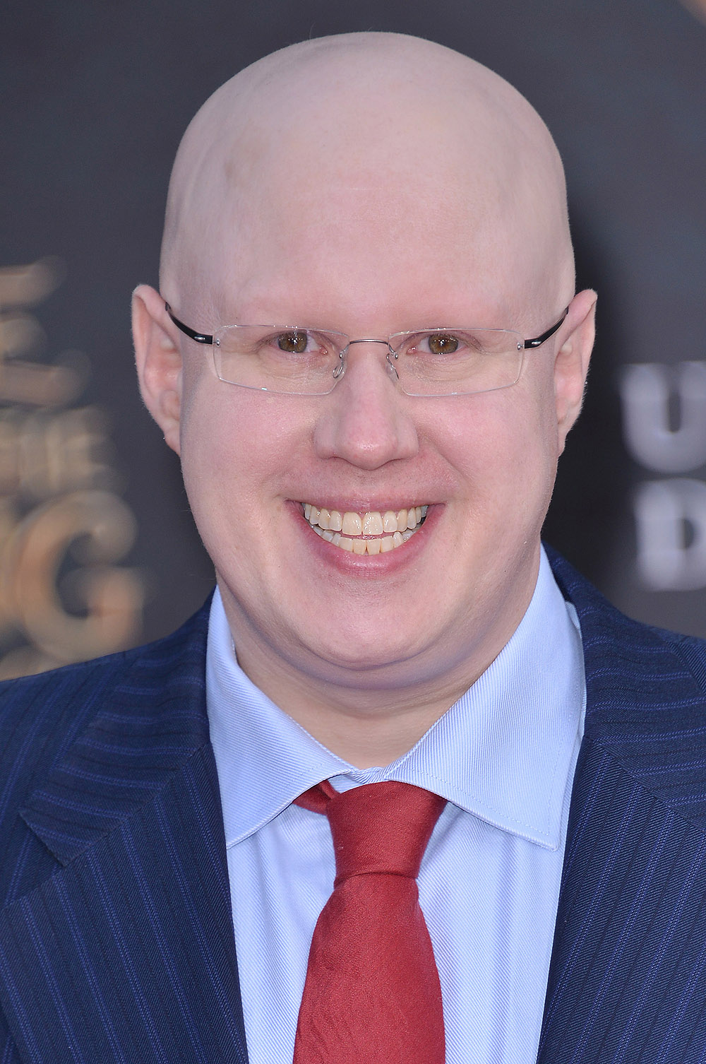 Matt Lucas partner