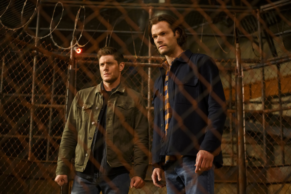 supernatural: Is a 'Supernatural' Season 16 in the cards? The Winchester  Brothers might just rise again - The Economic Times