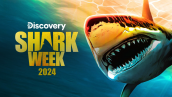 SHARK WEEK 2024 Key Art | ©2024 Discovery Channel