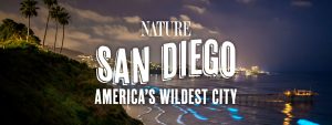 SAN DIEGO: AMERICA’S WILDEST CITY Key Art for PBS NATURE | ©2024 PBS